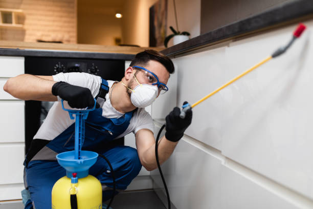 Best Pest Inspection Near Me  in Percy, IL