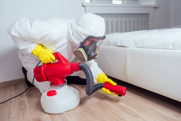 Best Best Pest Control Companies  in Percy, IL