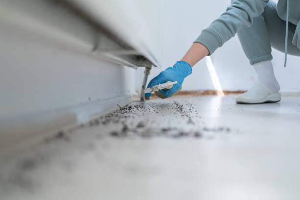 Best Emergency Pest Control  in Percy, IL